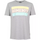 Womens Take You Home T-shirt Grey/Multi